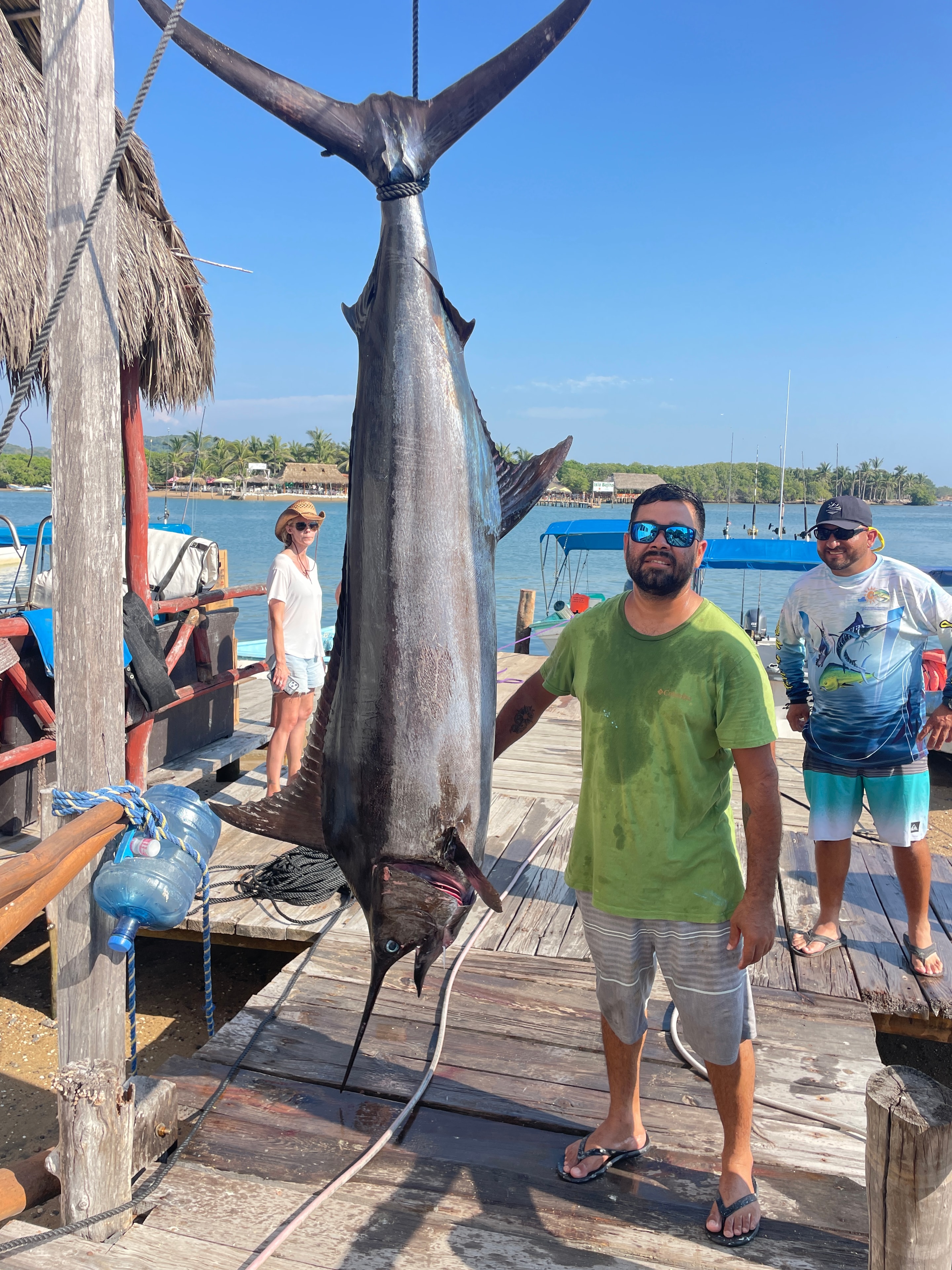 Marlin catch on a deep sea fishing trip